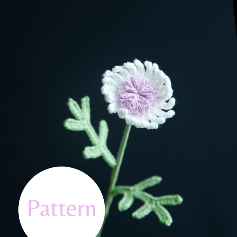 Field Daisy #34